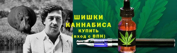 амф Абинск