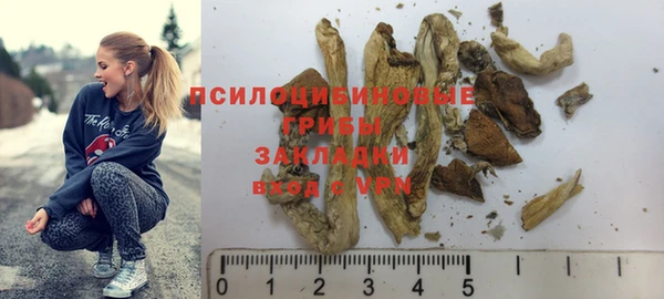 амф Абинск