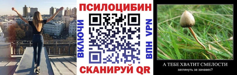Галлюциногенные грибы Psilocybine cubensis  Ипатово 
